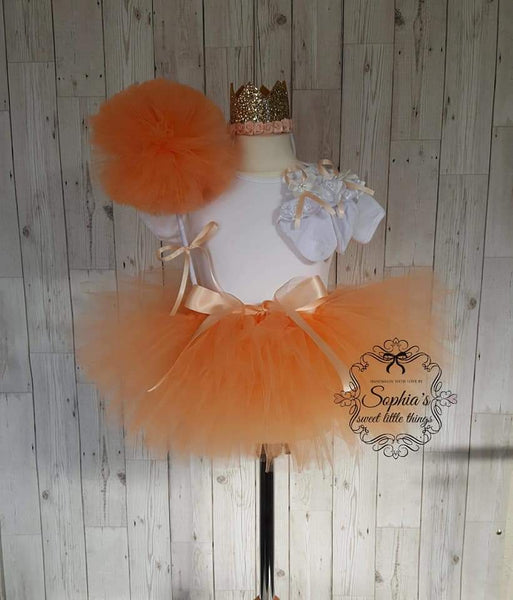 Peachy  Birthday/ Cake Smash Set
